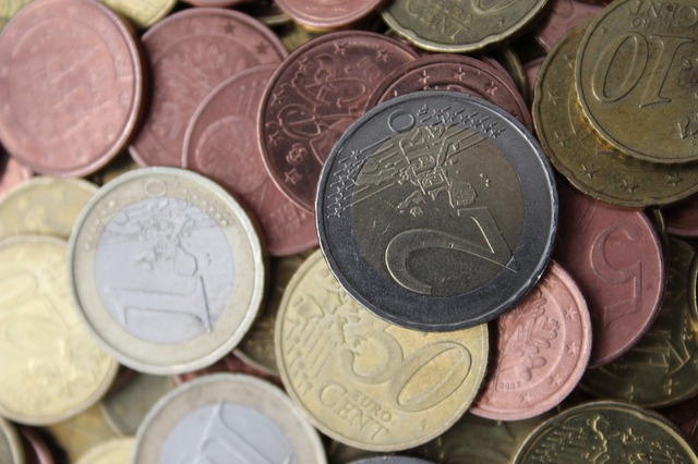 evropská měna